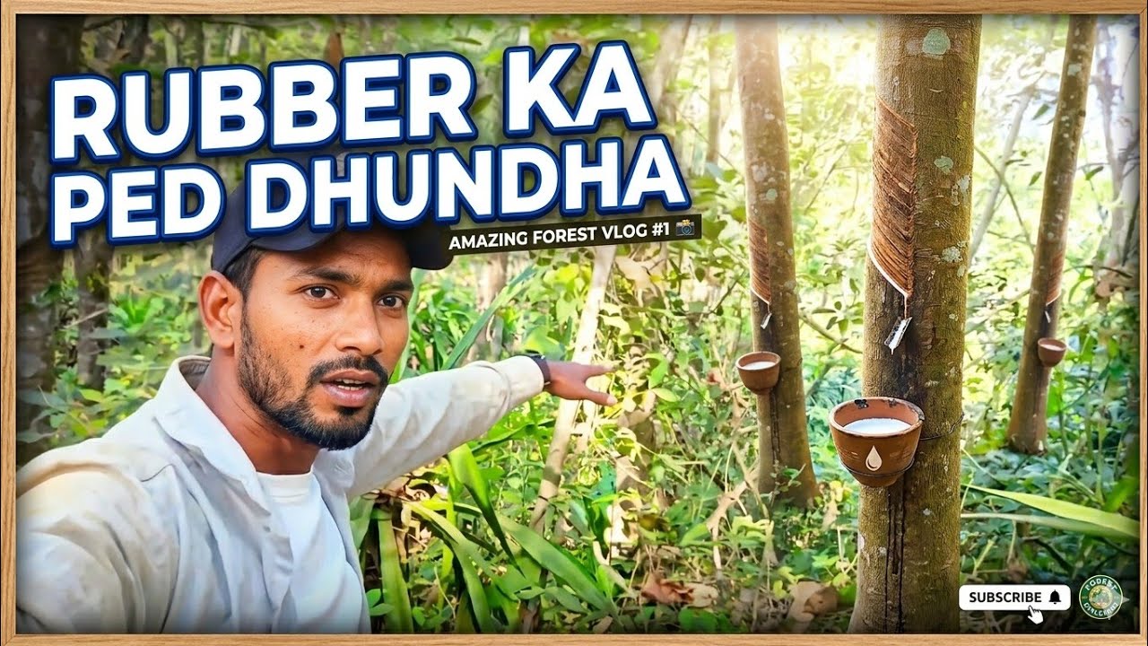 Forest ariya vlogs !! Kya hai ye bhai😱 !! क्या हैं ये भाई 😱