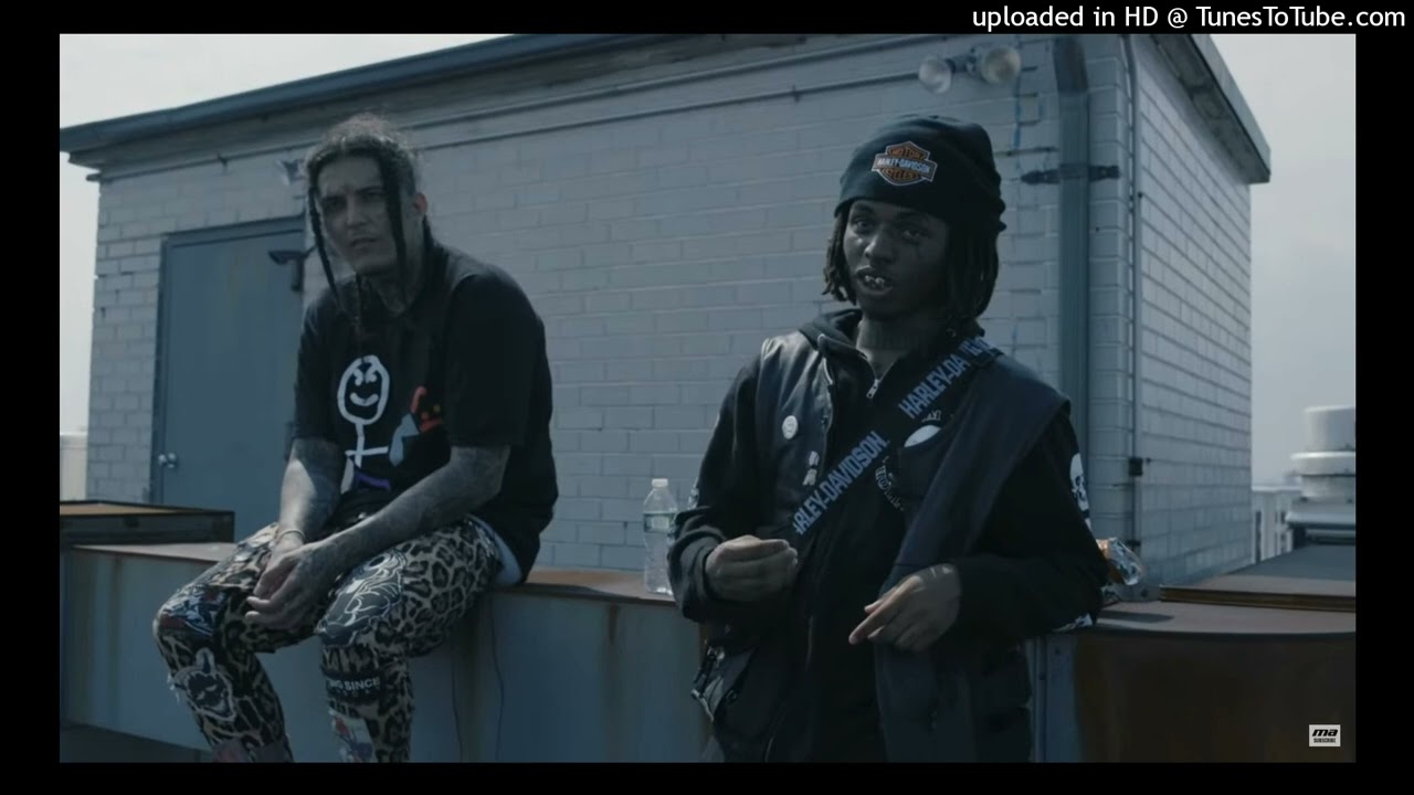 Zillakami & Sosmula - Nematodes (Leak)