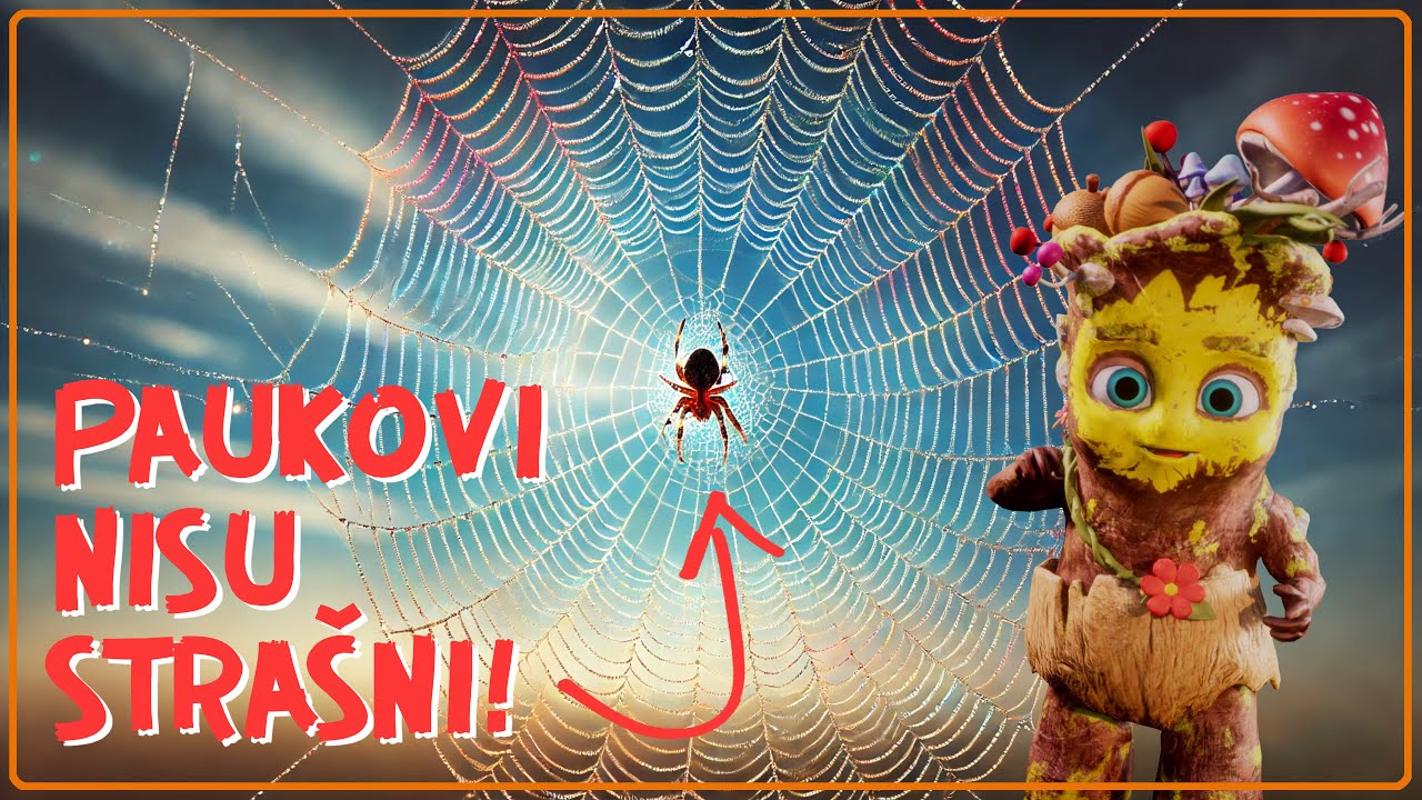 Tajanstveni PAUKOVI! Da li su toliko opasni?