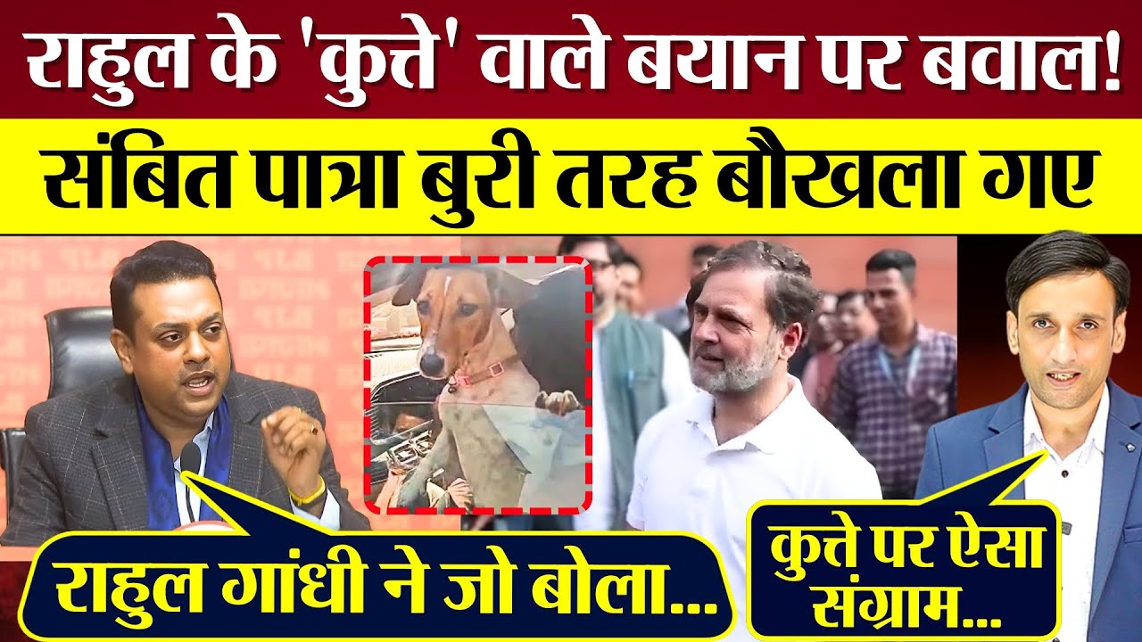 Rahul Gandhi के 'कुत्ते' वाले बयान पर बवाल! भड़की BJP Sambit Patra बौखलाए!