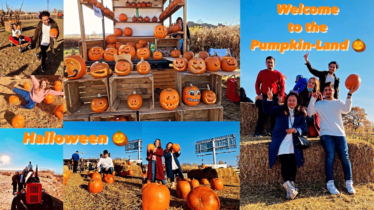 Pumpkin Farm Powsin//Farsi Farm //Halloween 2021 -Warsaw Poland 🇵🇱