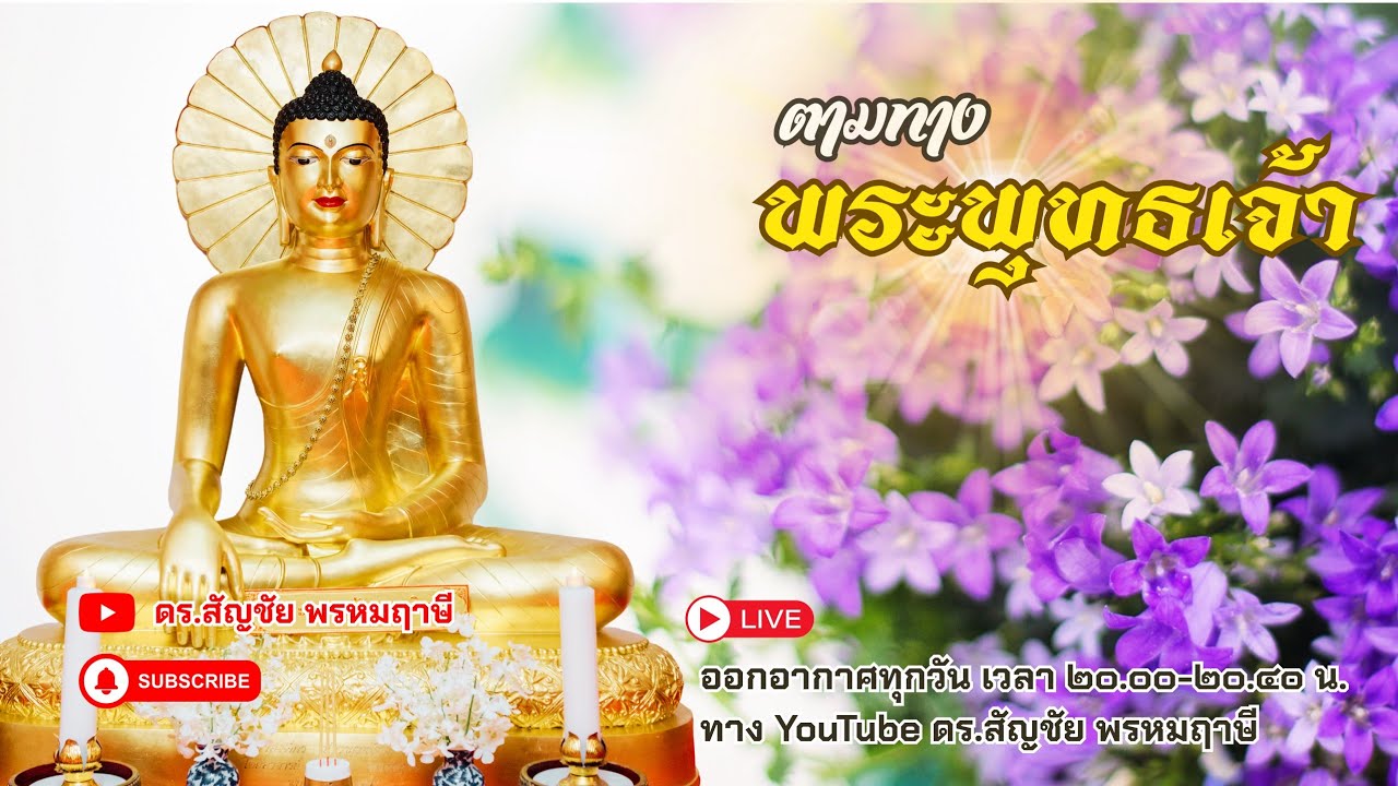 ตามทางพระพุทธเจ้า 6 มีนาคม 2569