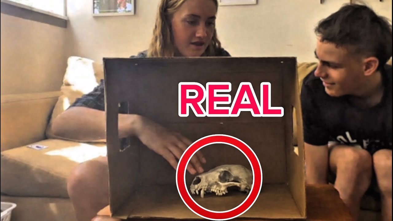 I Can’t Believe She Touched the Skull What’s In The Box Challenge