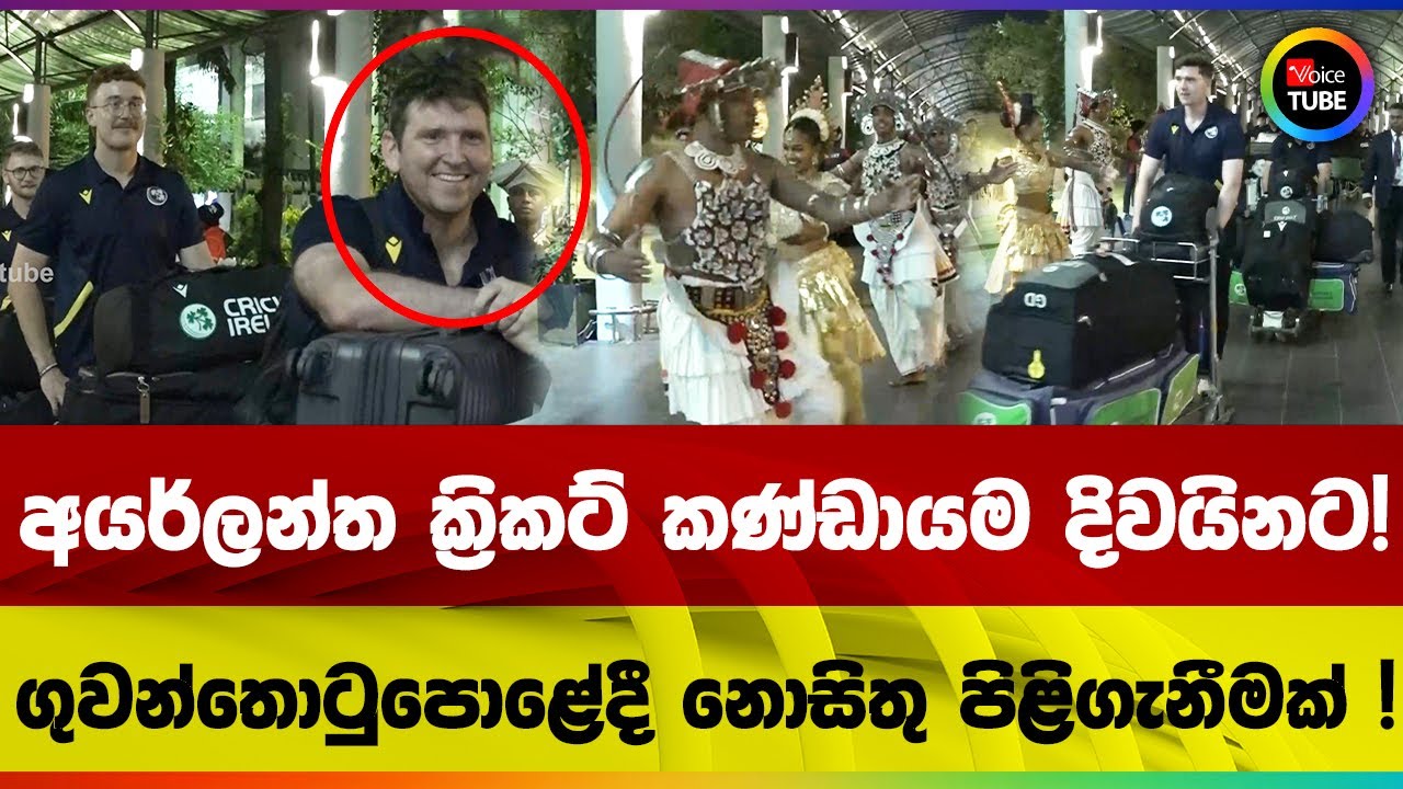 අයර්ලන්ත ක්‍රිකට් කණ්ඩායම දිවයිනට! | ගුවන්තොටුපොළේදී නොසිතු පිළිගැනීමක් !