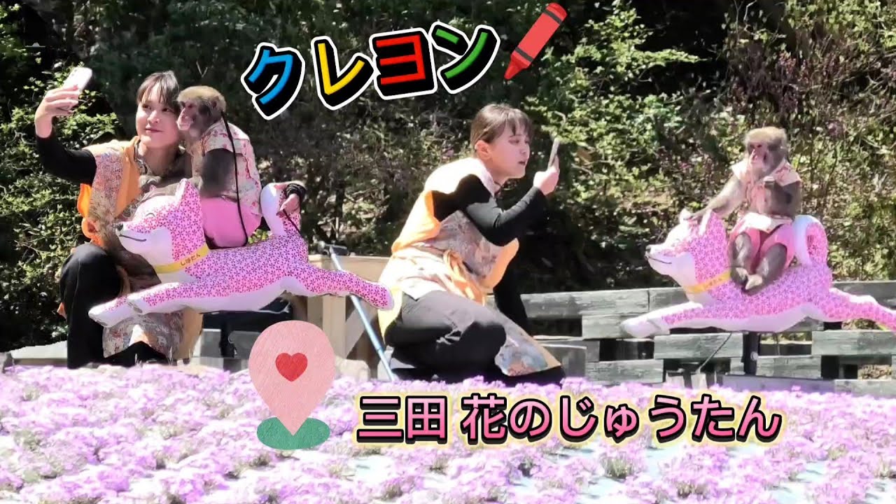 クレヨン🖍️　三田 花のじゅうたん🌸　　猿まわし🐵💝　二助企画