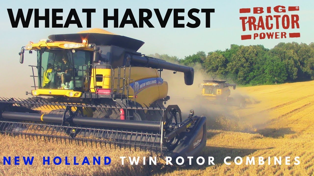 Wheat Harvest with New Holland Combines