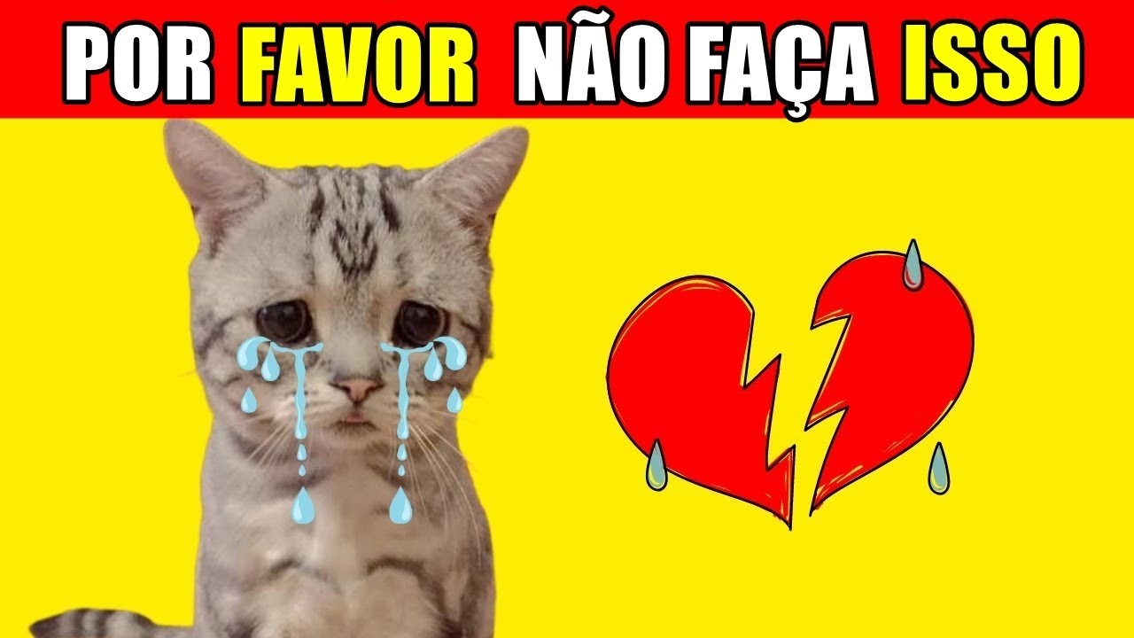 12 Coisas que MACHUCAM EMOCIONALMENTE UM GATO. 😿