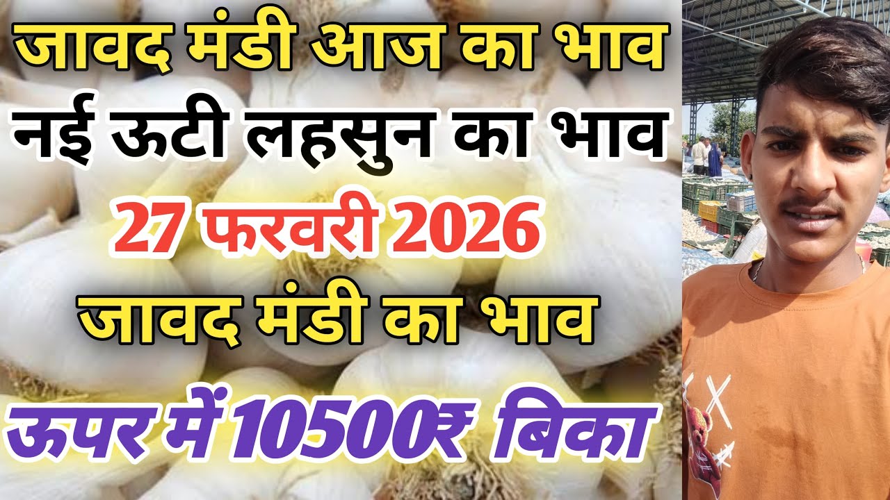 जावद मंडी आज का नई लहसुन का भाव / javad mandi bhav today / javad mandi lahsun bhav