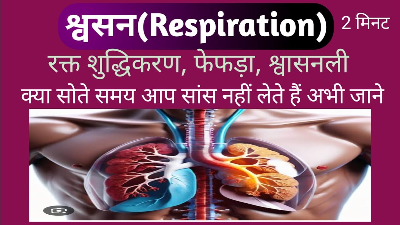 श्वसन (Respiration) 😱✴️रक्त शुद्धिकरण, फेफड़ा, श्वासनली , क्या आप सोते समय सांस नहीं लेते अभी जाने 🫁
