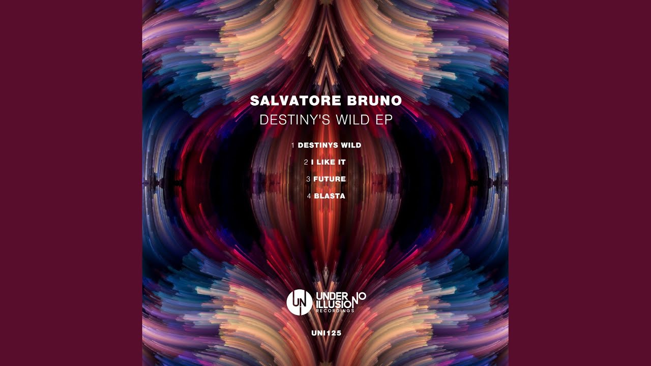 Destiny's Wild (Original Mix)