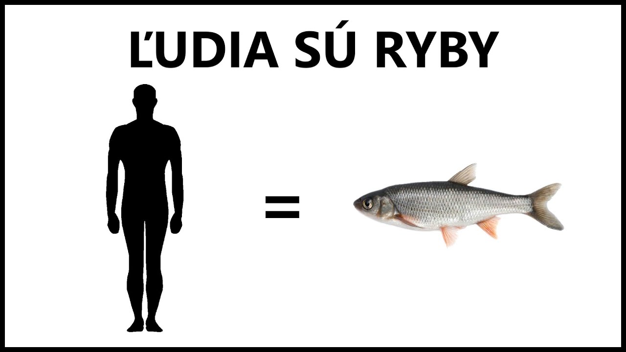 Prečo sú ľudia ryby?