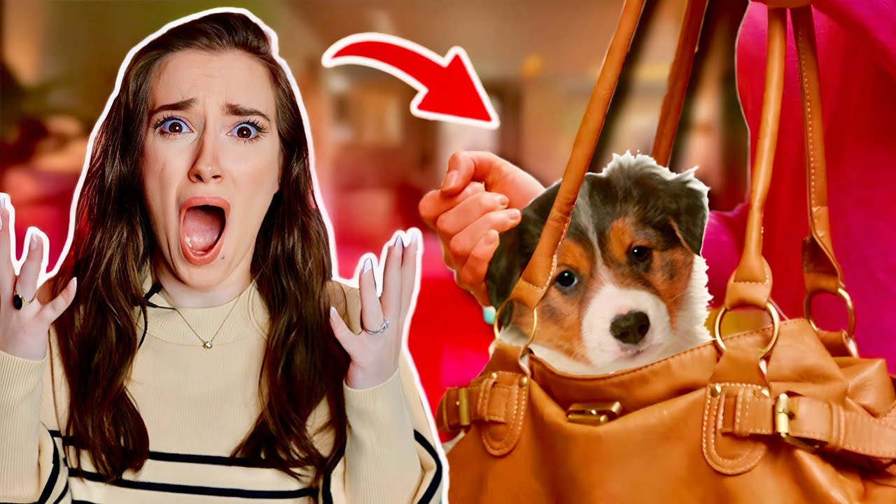 Woman STEALS her Nephew's PUPPY?!