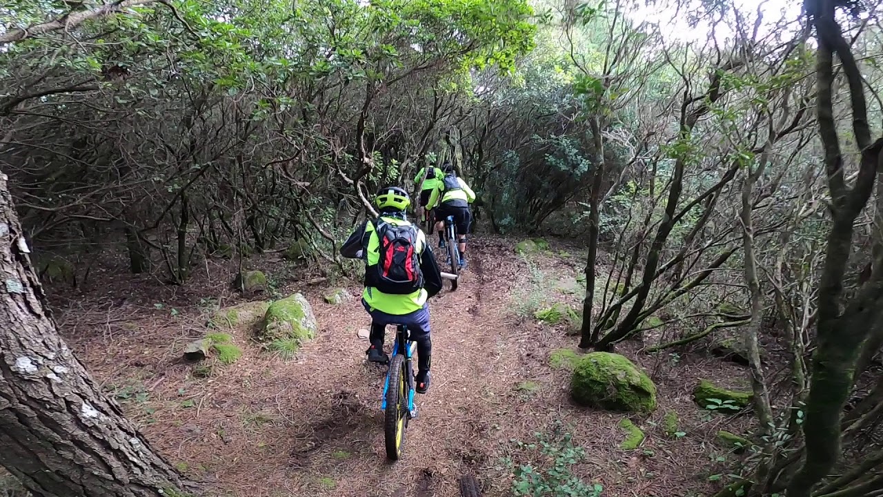 Trail Cantiere Forestale Monte Arci - gopro8-