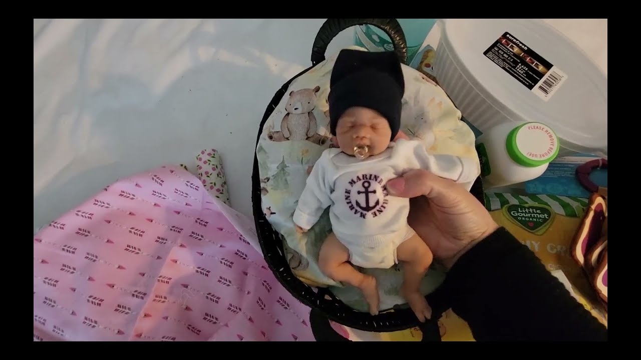 Dollar Tree Haul with a Little Surprise! Featuring Full Body Silicone Baby 💖🛍️