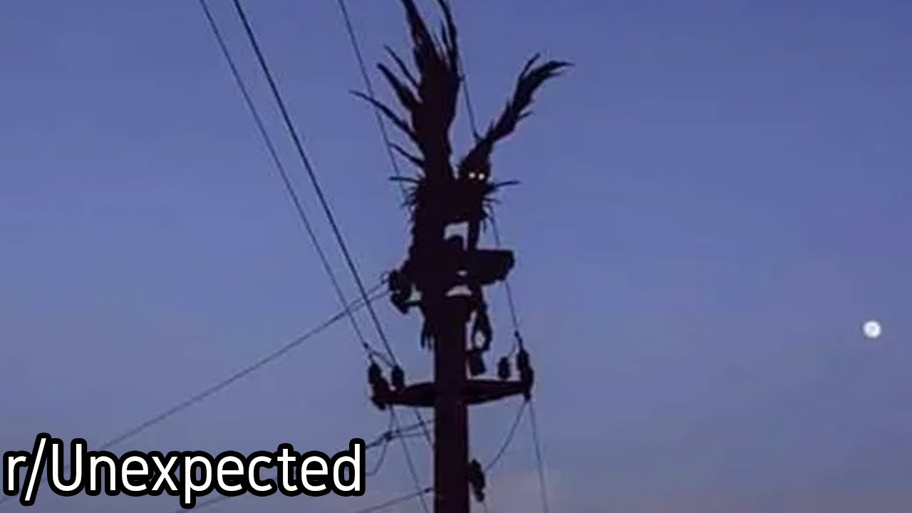 r/Unexpected | That shouldn't be there...
