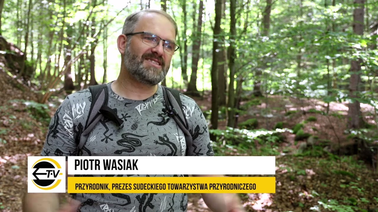 Mieszkańcy Przesieki chcą spopularyzować dawną trasę turystyczną
