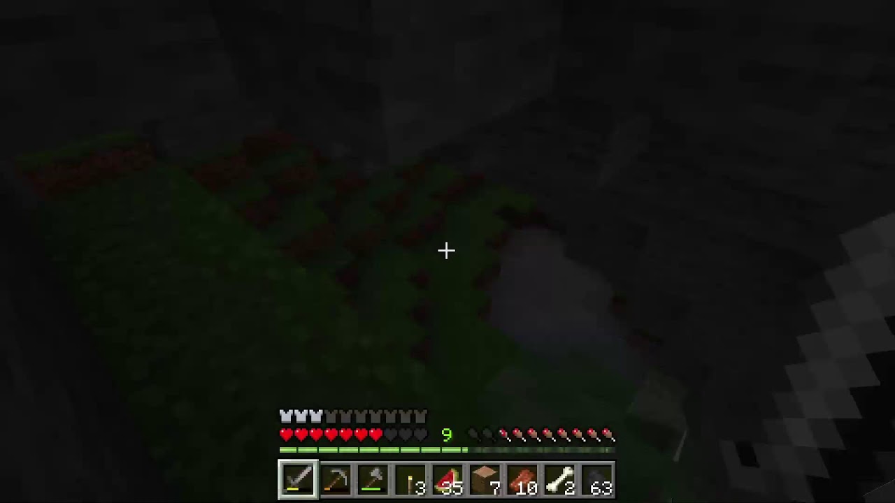 Live Minecraft