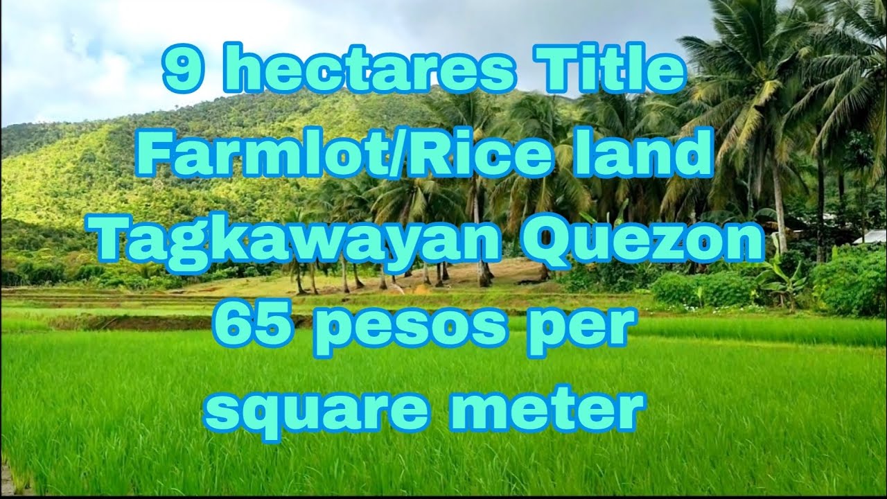 #murangfarm0014 #soldout  na po thank you lord 😍🙏