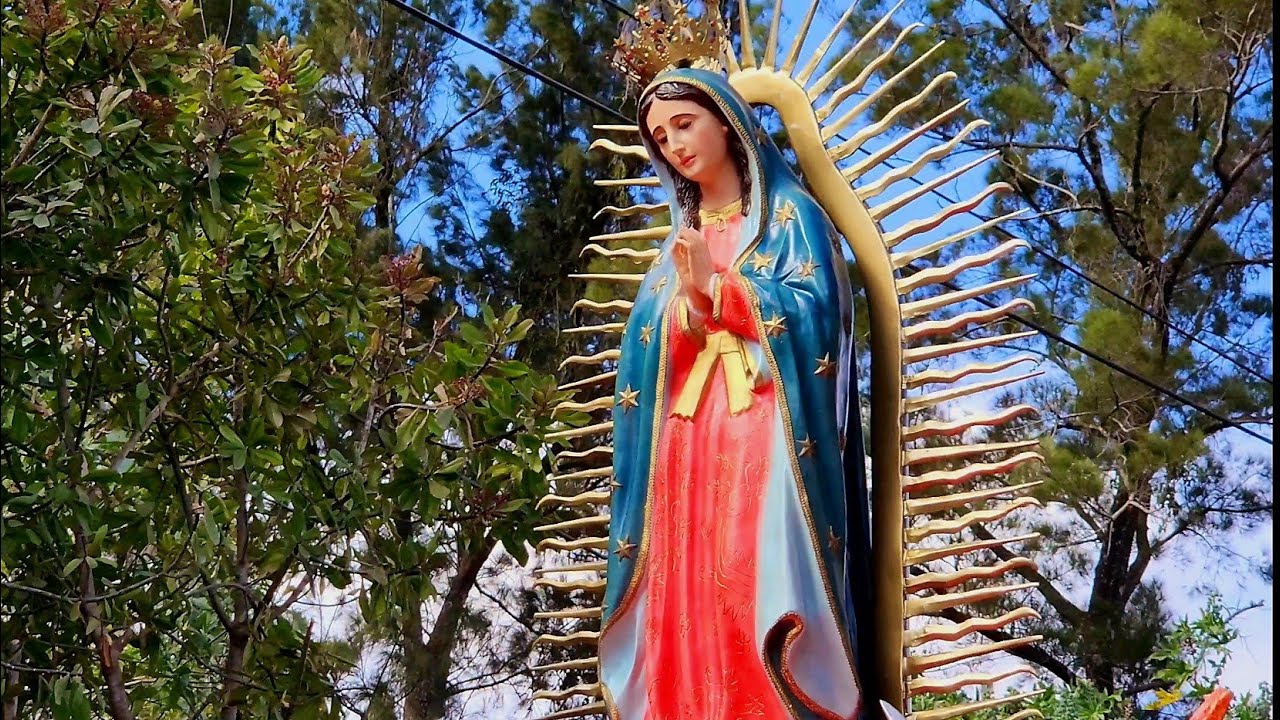 Maricumbia Virgen de Guadalupe Boca del Monte 12 de diciembre 2023
