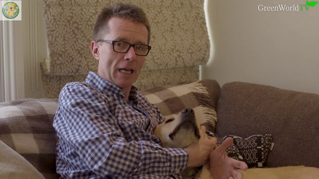 Wetnose Day film clip with TV presenter Nicky Campbell and his gorgeous dog.