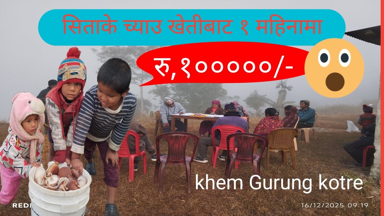 सिताके च्याउ खेतीबाट १ महिनामा १ लाख आम्दानी गरियो khem Gurung kotre 