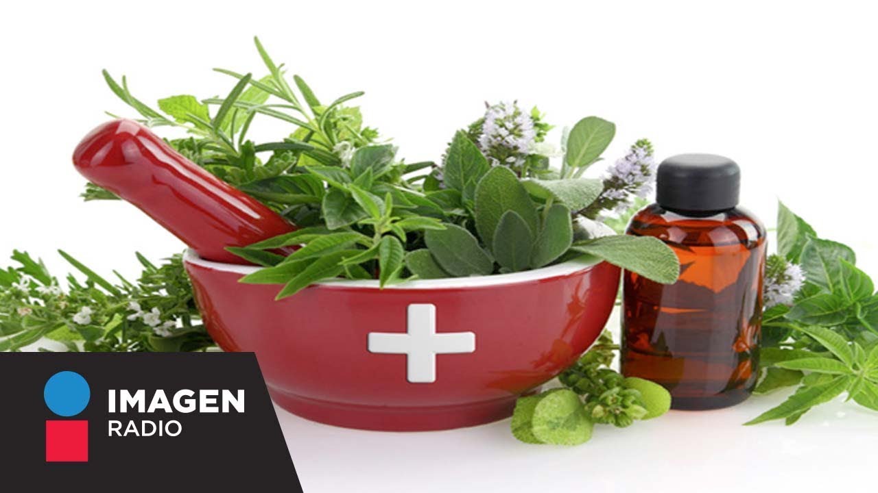 Cómo armar un botiquín natural de urgencias / Bien y Saludable