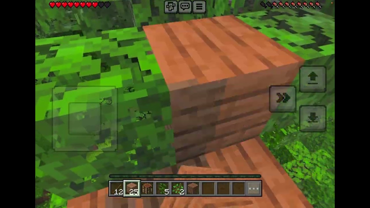 Jugando Minecraft pt1