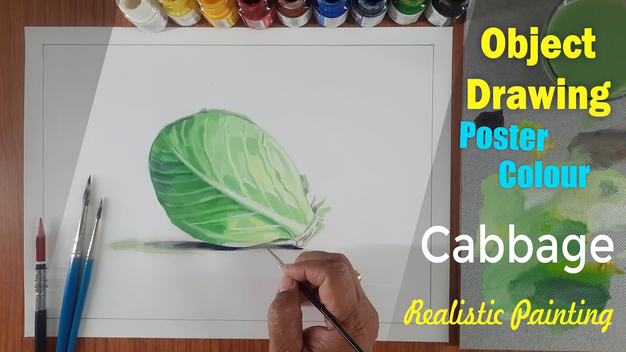 How To Draw Cabbage, वस्तुचित्र कोबी, Object Drawing Cabbage,