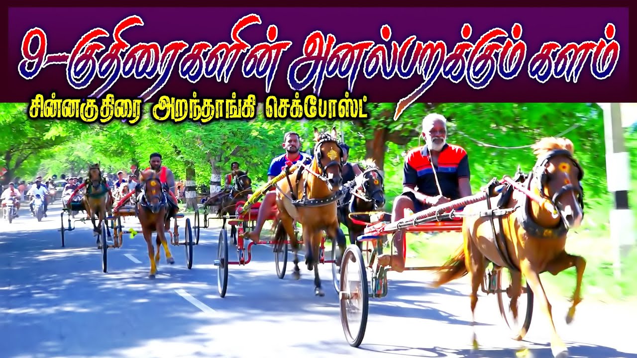 14-06-2023சின்னகுதிரை அறந்தாங்கி { Sinnakuthirai aranthangi } PRD Perai Raj Digital