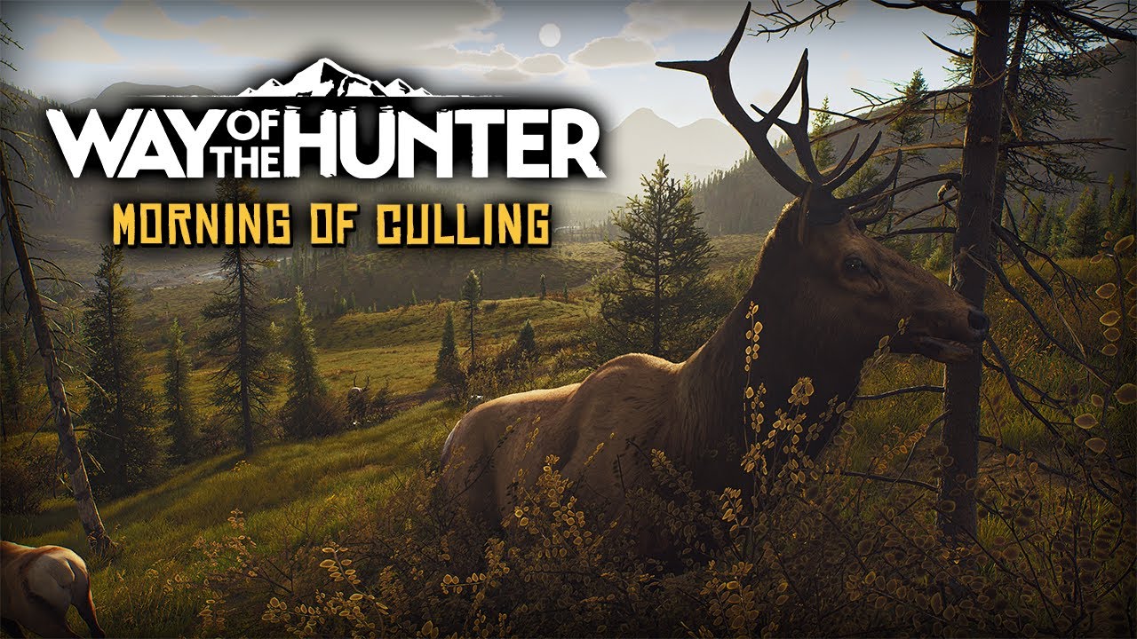Chasing down Elk and Moose with the new Steyr 270. | Way of the Hunter | 4K