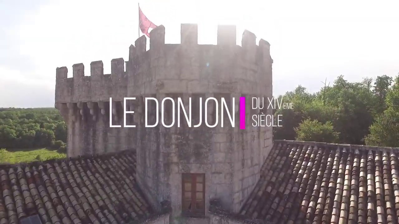 Château de La Tranchade vu du ciel