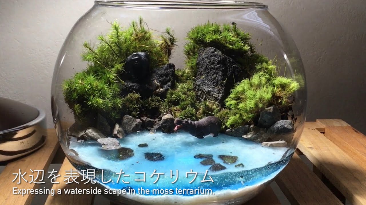 【コケリウム】水辺の森のコケリウム ~Making movie of koke-terrarium~