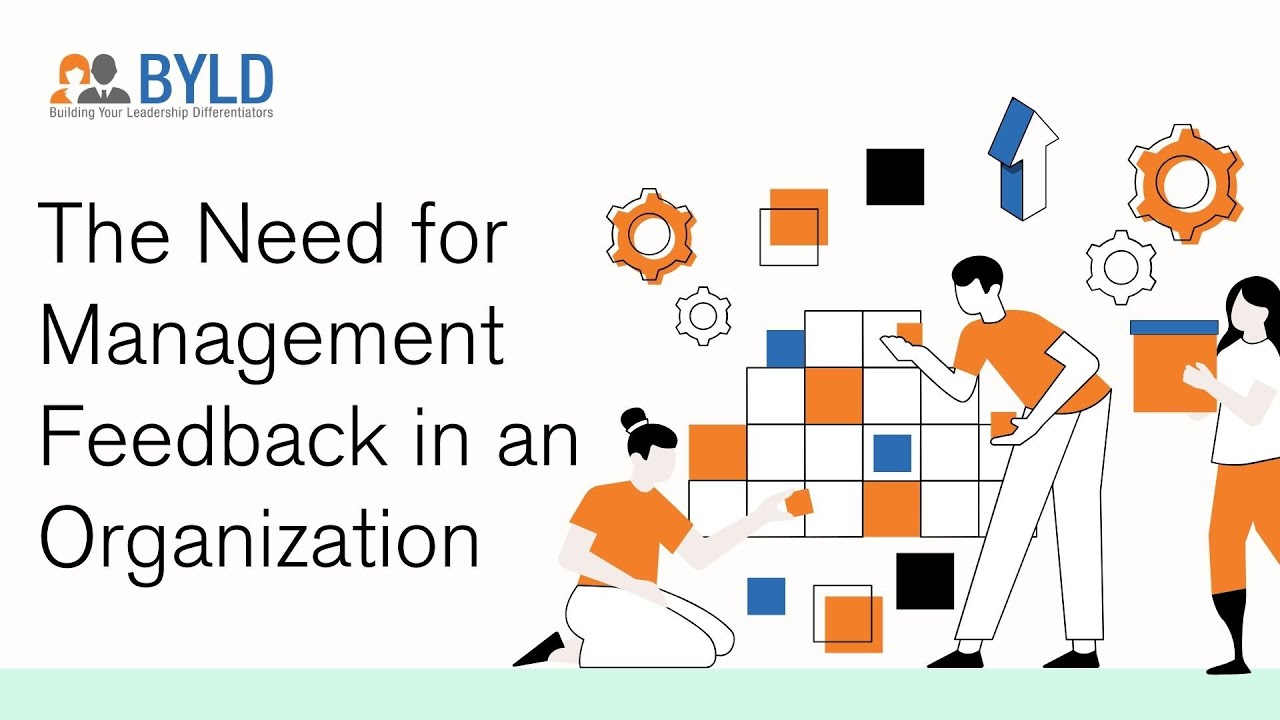 The Need for Management Feedback in an Organization