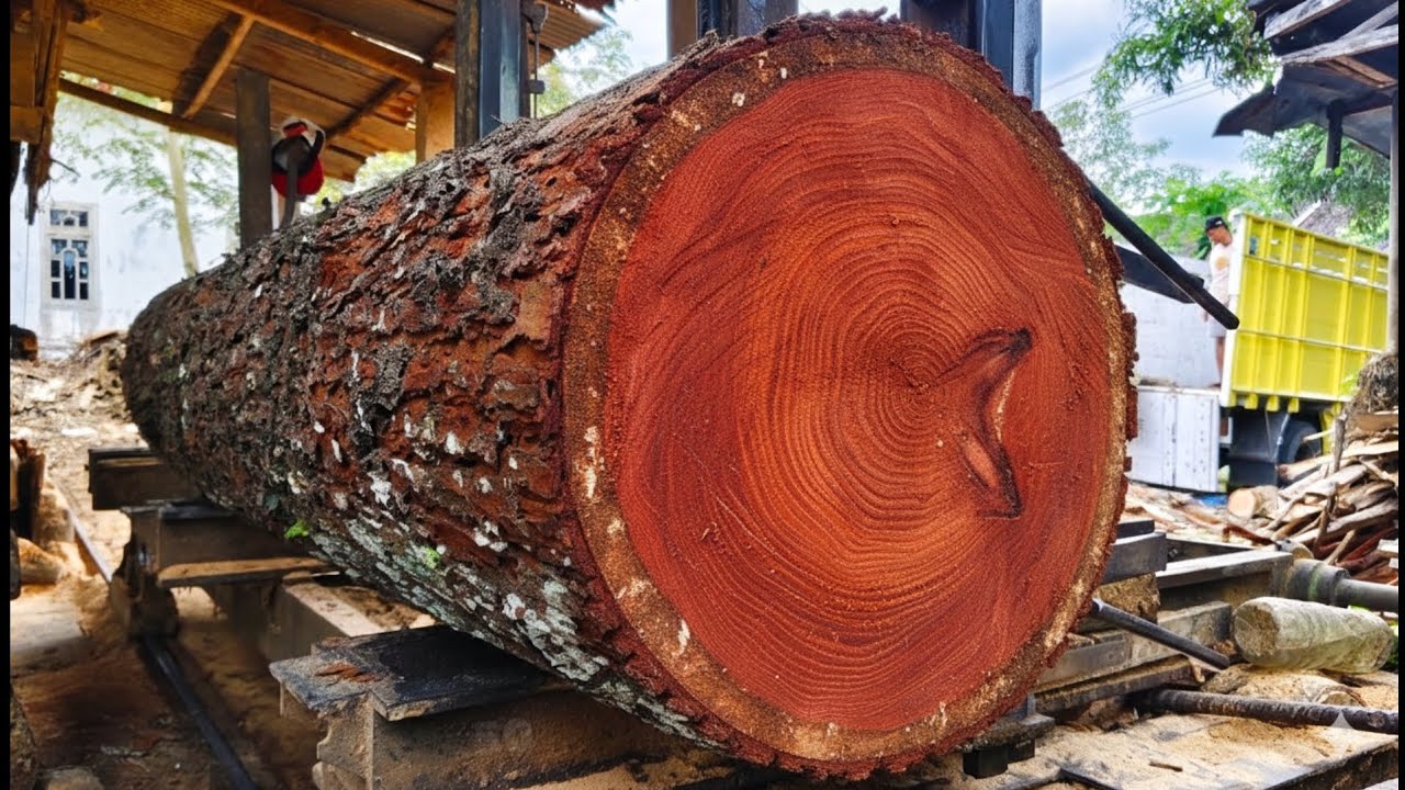 The process of sawing beautiful redwood for 3cm thick boards