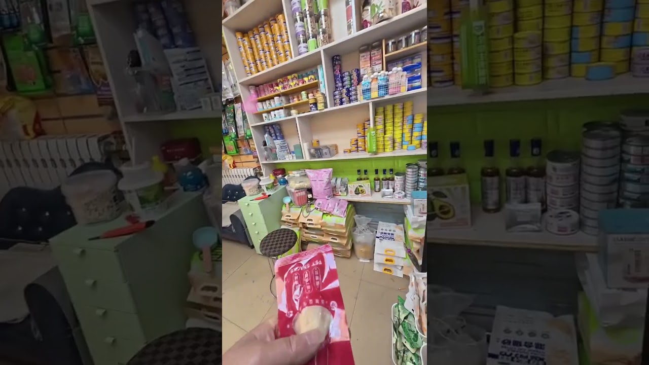 From 20,000 Yuan to a Pet Paradise: My Small-Town Pet Store Journey