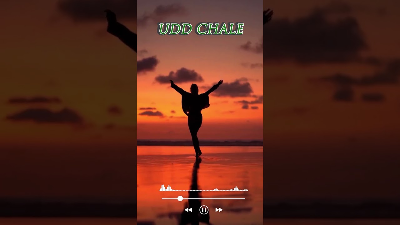 Udd Chale | Zayd | Tarana | Desi Tadka Music | Out Now