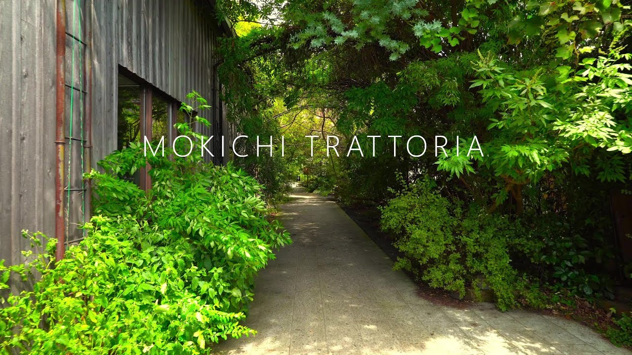 【茅ヶ崎ランチ】熊澤酒造を散歩＆『モキチ トラットリア』でランチを満喫［4K］