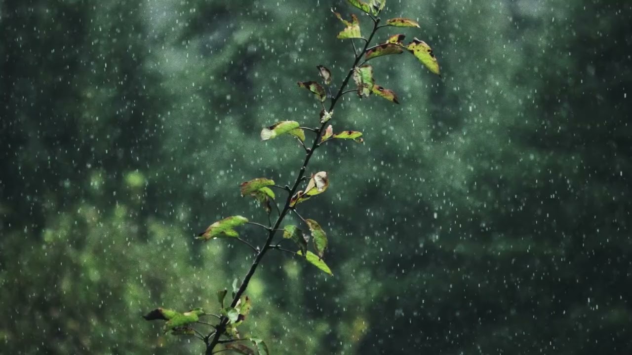 free sad chill emo rap 9tails type beat - 