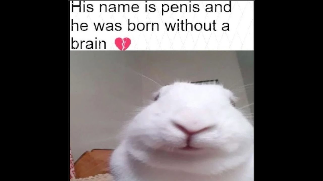 S tier offensive memes ylyl v15