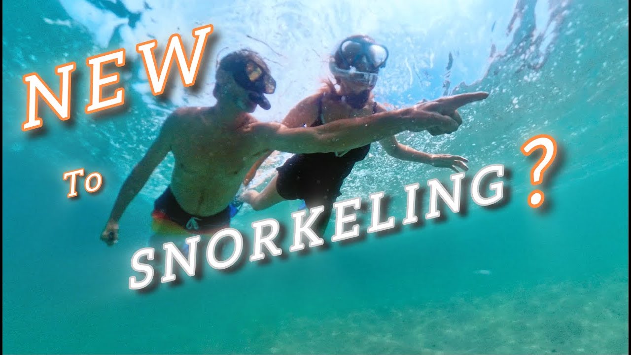 LEARN How to Snorkel Beginner Tips & Info | Pirates Cove Best Spot to Start in SoCal