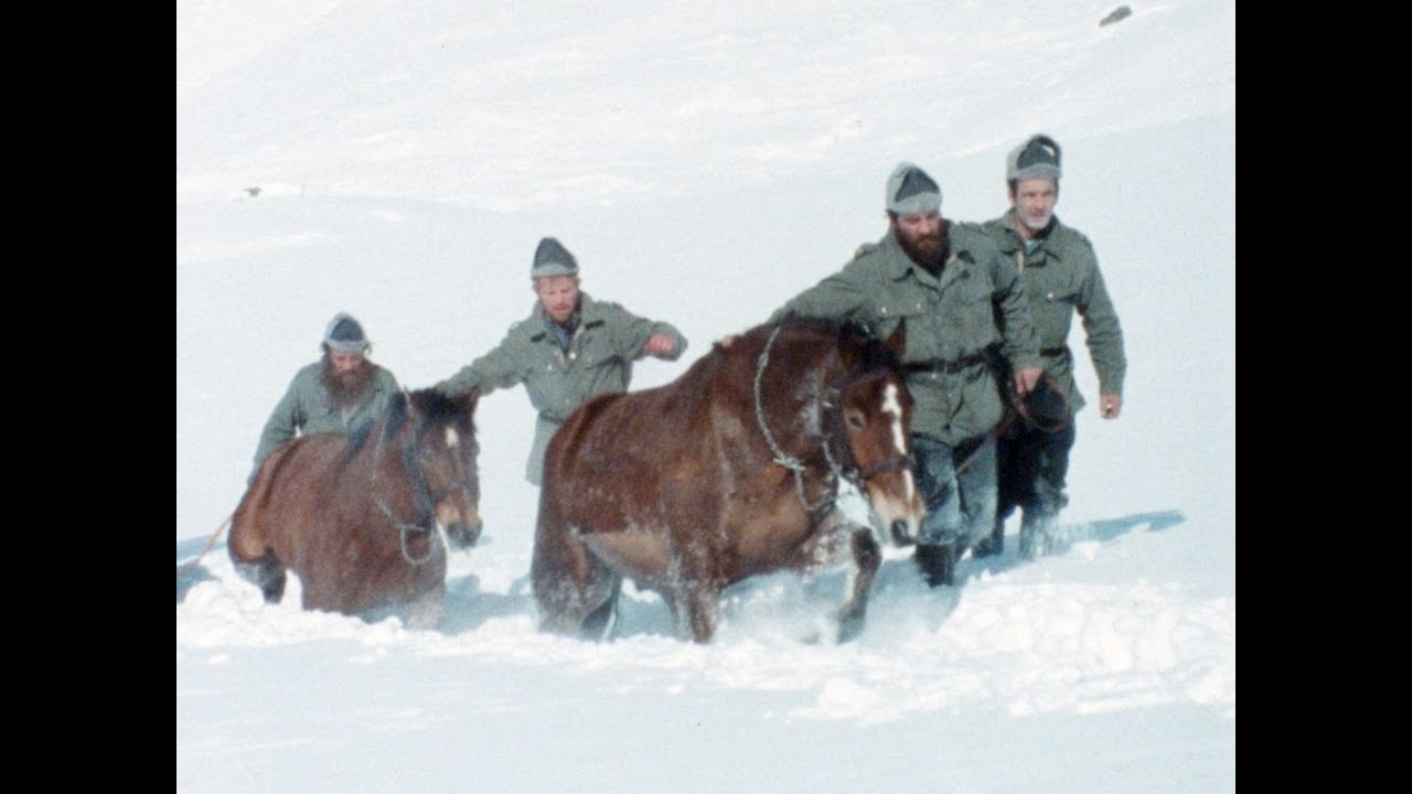 🐴Horseshoer Blacksmith in Swiss Army / Hufschmiede Rekrutenschule (1987)