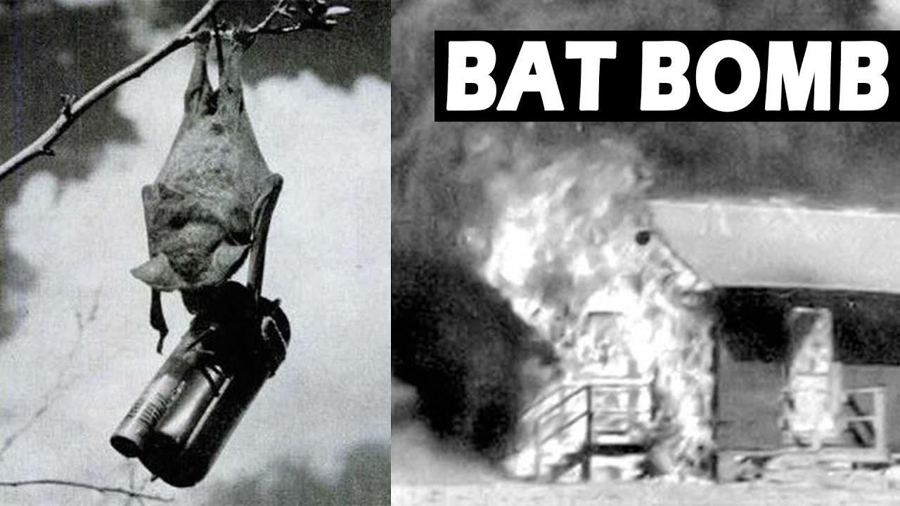 The Military's Secret Project: The Bat Bomb