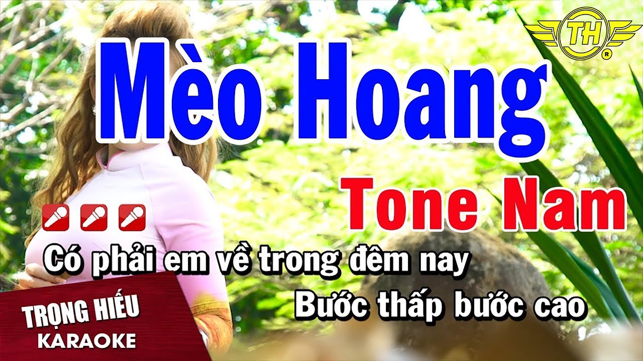 Karaoke M&egrave;o Hoang Tone Nam Nhạc Sống | Trọng Hiếu