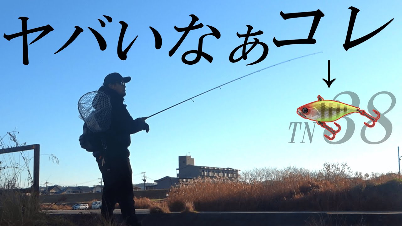冬に豆粒バイブレーション使ったらヤバい釣果になった！！