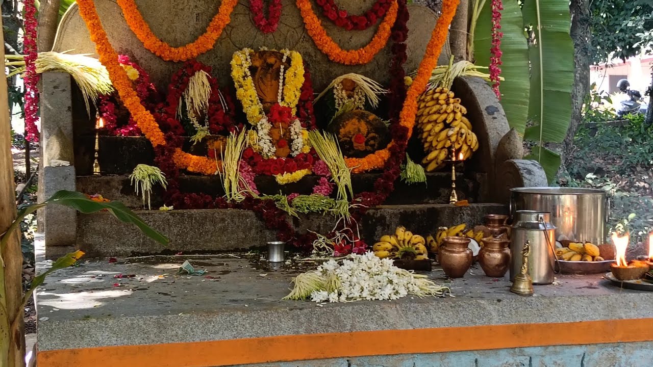 ನಮ್ಮ ಕುಟುಂಬದ ನಾಗಬನದಲ್ಲಿ ಎರಡನೇ ವರ್ಷದ ನವಕ ಪ್ರಧಾನ ಹೋಮ  ಹಾಗೂ ಕಳಶಾಭಿಷೇಕ  ಮಾಡಿಸಲಾಯಿತು. 🙏🙏❤️❤️part- 1