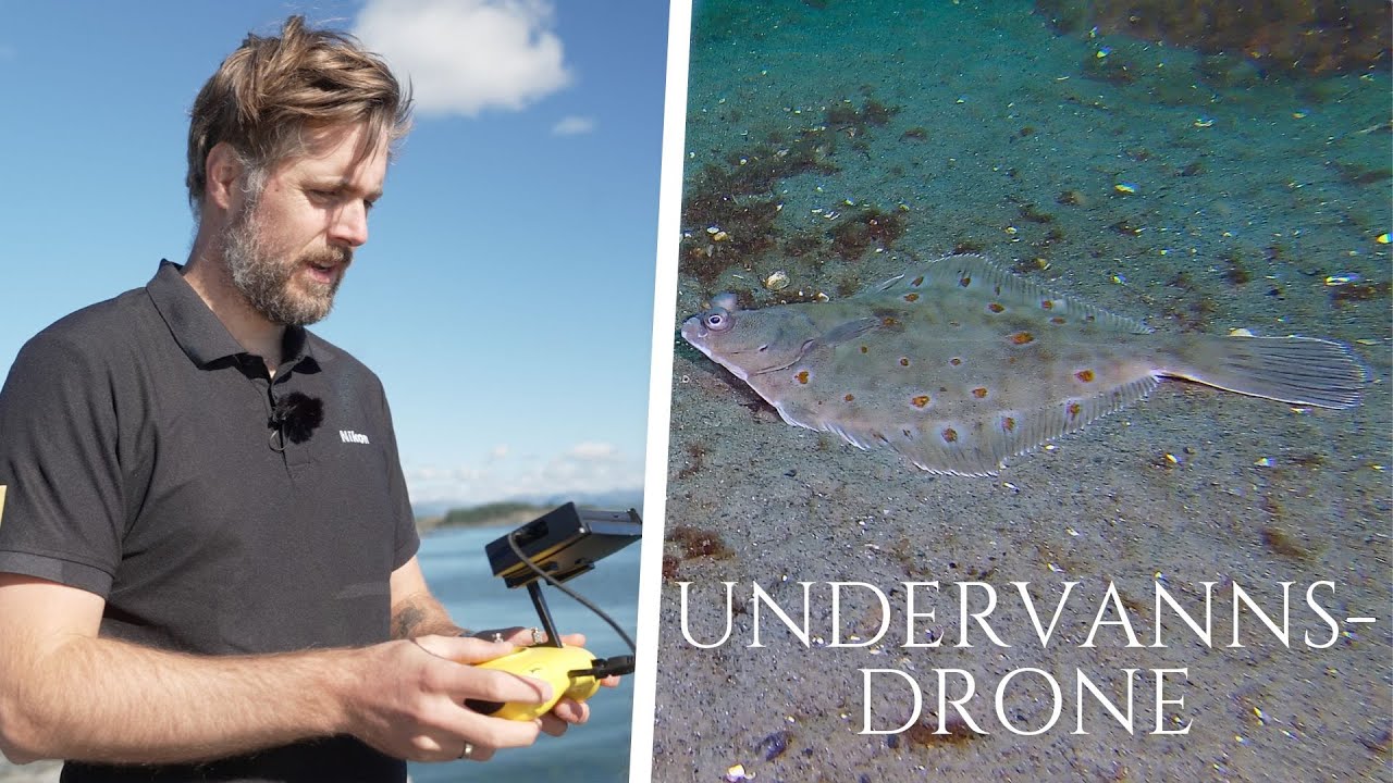 Chasing M2 undervannsdrone // 4K footage with M2 Pro MAX