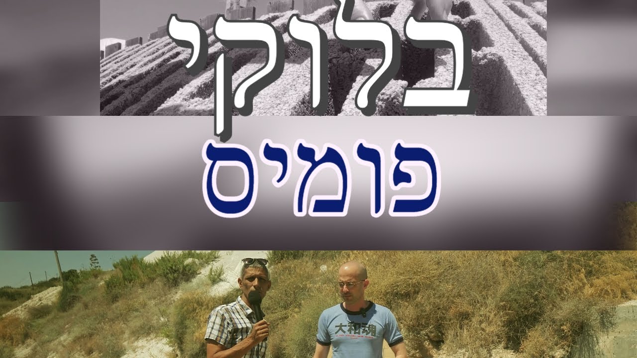 בלוקים - בלוקל רביד - בלוק דור 3 ?! בלוק זהב?! איזה סוגים קיימים ואיך חורצים בלוקים ?