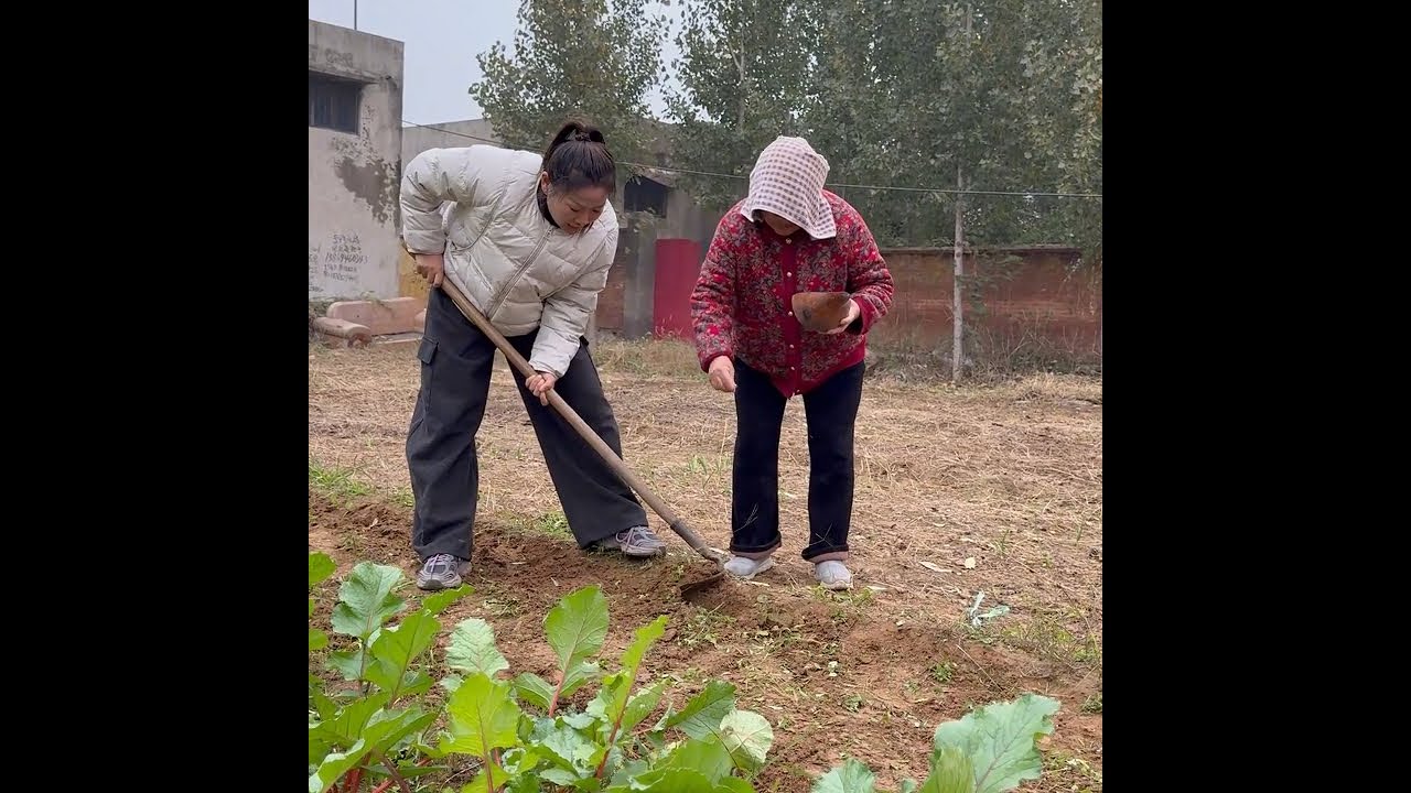 有很多人特别好奇我婆婆说话这么直，我们为什么不生气，其实换个角度想问题就明白了，老人有老人的想法，我们不理解但是一定要尊重，在这个奔波忙碌的生活里，团结显得尤为珍贵，一家人在一起，互相关心，互相理解，