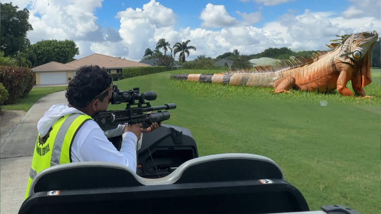 I Found a Private Lake full of iguanas! Hunting iguanas with golf cart and Airgun!
