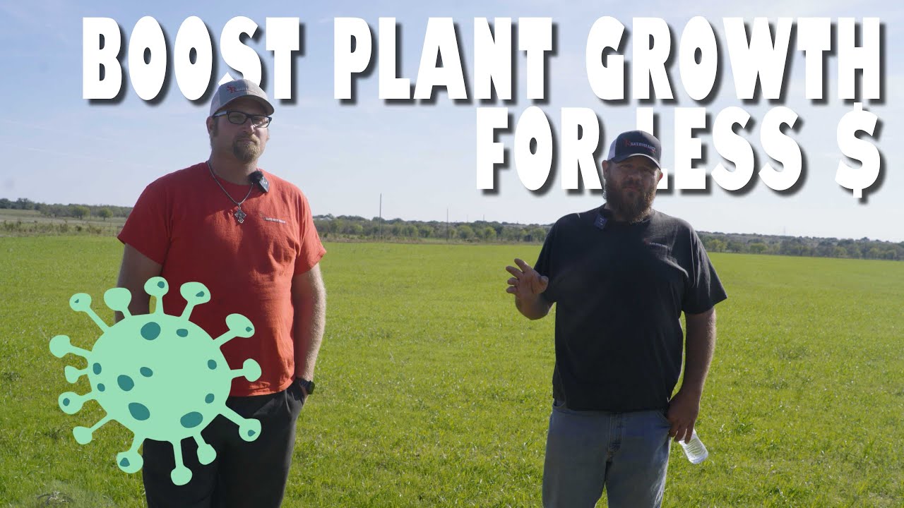 Boosting Growth and Cutting Costs with Microbe Fertilizer